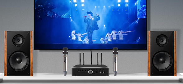 iHomeLife-HLQ 300W大功率专业家庭K歌音箱 家用KTV/家庭影院两用音响