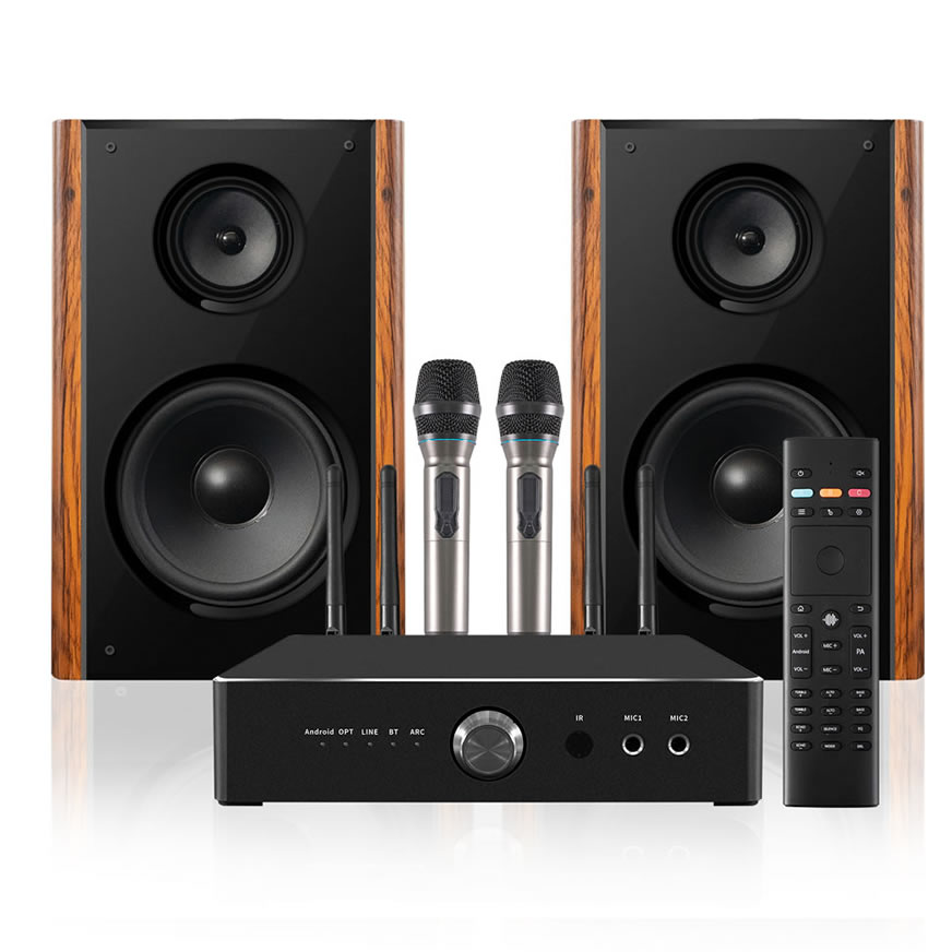 Enceinte de Karaoké Maison Professionnelle 300W Haute Puissance | iHomeLife-HLQ Audio HiFi pour KTV Maison, Home Cinéma et Petites Représentations