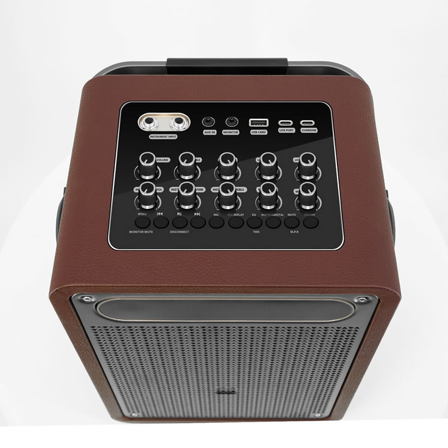 Nouvelle enceinte karaoké portable (enceinte spéciale pour la performance d'instruments de musique et le chant)