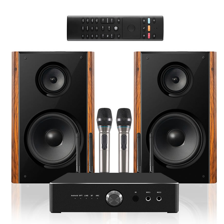 300W High Power Professional Home Karaoke Speaker | iHomeLife-HLQ HiFi Home KTV Audio for Home Theater & Small Performances